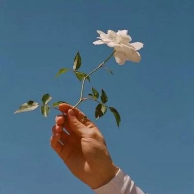 倩女幽魂oppo版下载