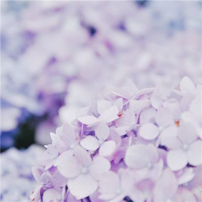 倩女幽魂联想版本下载